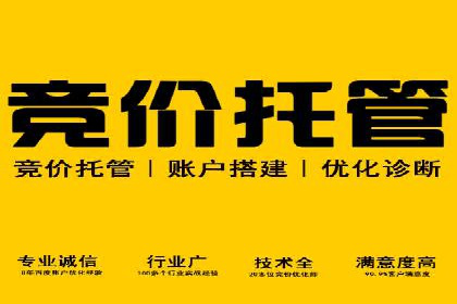 某电商企业如何通过百度竞价广告提升销售额